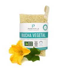 Bucha-Vegetal-Positiva-CasaCaso-Eco-Friendly